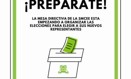 ELECCIONES 2026-2028