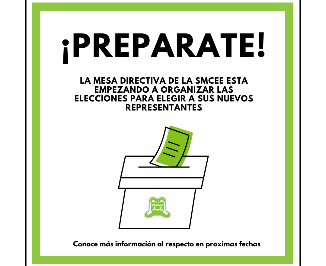 ELECCIONES 2026-2028